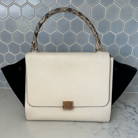 Vintage CELINE Python-trimmed trapeze bag - Picture 1 of 16